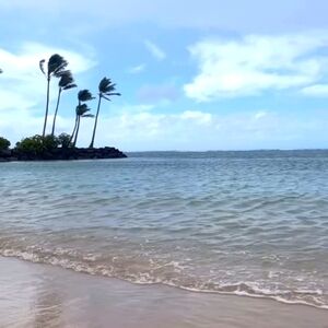 Meet your Posher, Ofelia